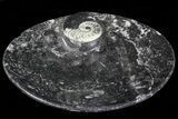 Oval Shaped Fossil Goniatite Dish #73976-2